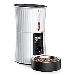 Petory Timed Automatic Cat Feeders