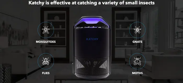 Katchy Variety of Insects