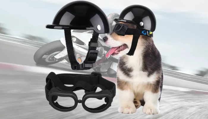 Frienda Small Dog Helmet with Goggles