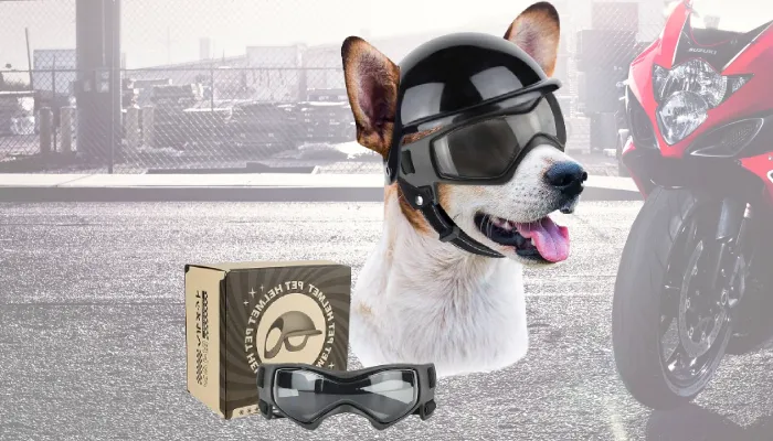 Petleso Helmet for Small Dogs with Goggles