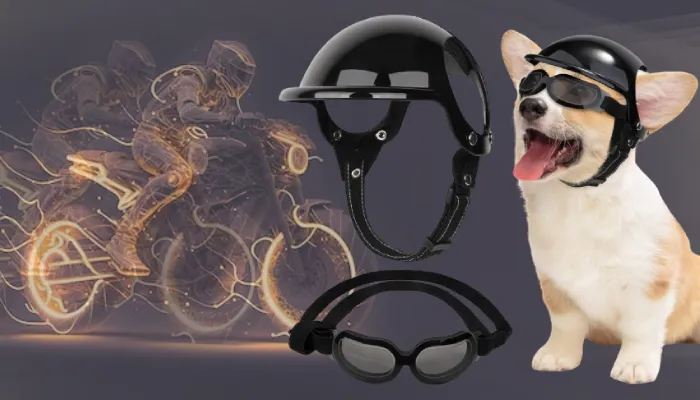 SlowTon Helmet and Goggles for Small Dogs